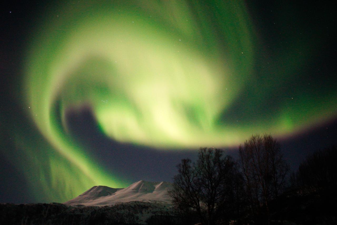 Viking - Mit Fablab - Solvik Lodge Kvalvik (Troms)